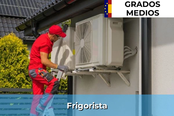 Frigorista