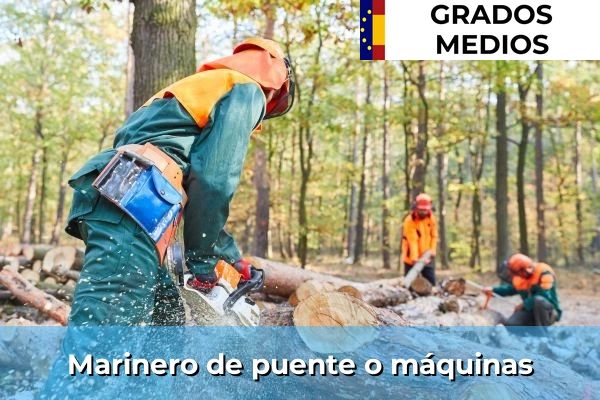 Marinero de puente o máquinas