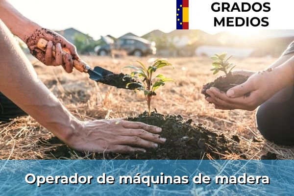 Operador de máquinas de madera