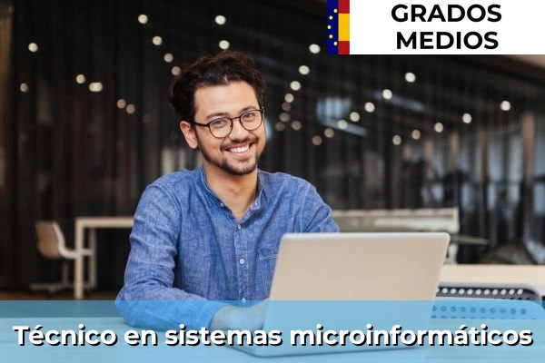 Técnico en sistemas microinformáticos
