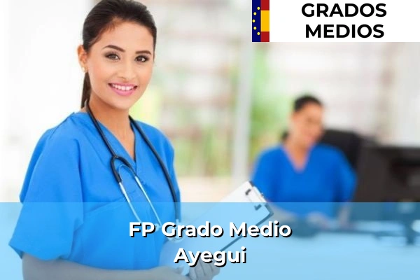 FP Grado Medio en Ayegui