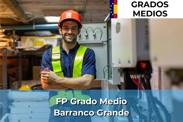 FP Grado Medio en Telde 84 FP Grado Medio en Barranco Grande