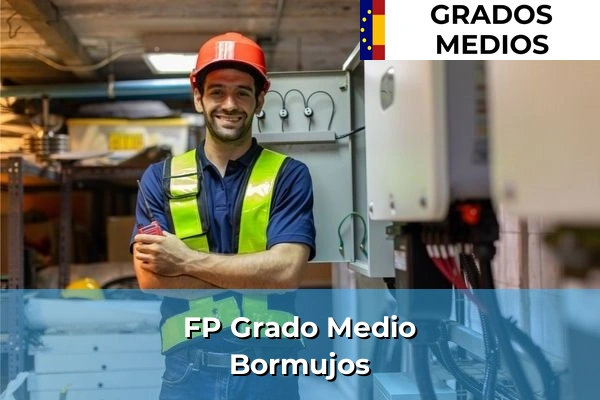 FP Grado Medio en Bormujos