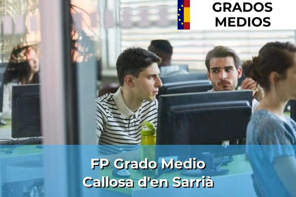 FP Grado Medio en Callosa d'en Sarrià