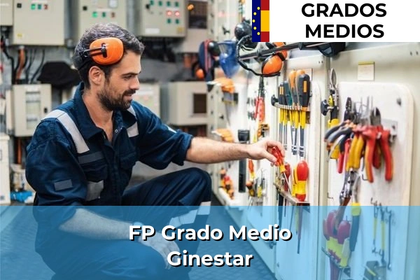 FP Grado Medio en Gines