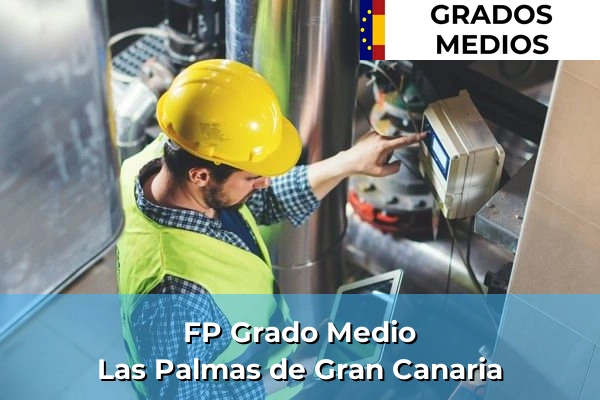FP Grado Medio en Telde 118 FP Grado Medio en Las Palmas de Gran Canaria